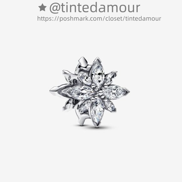 Pandora Sparkling North Star Charm|Pendant - Picture 1 of 2